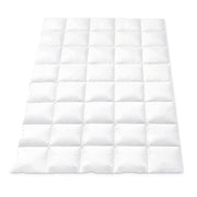 Giselle Bedding 800GSM Goose Down Feather Quilt Winter Blanket Duvet Comforter Single