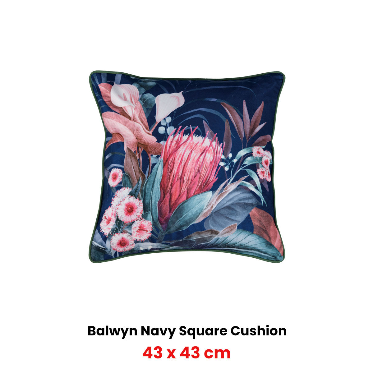 Balwyn Navy Square Filled Cushion 43 x 43cm