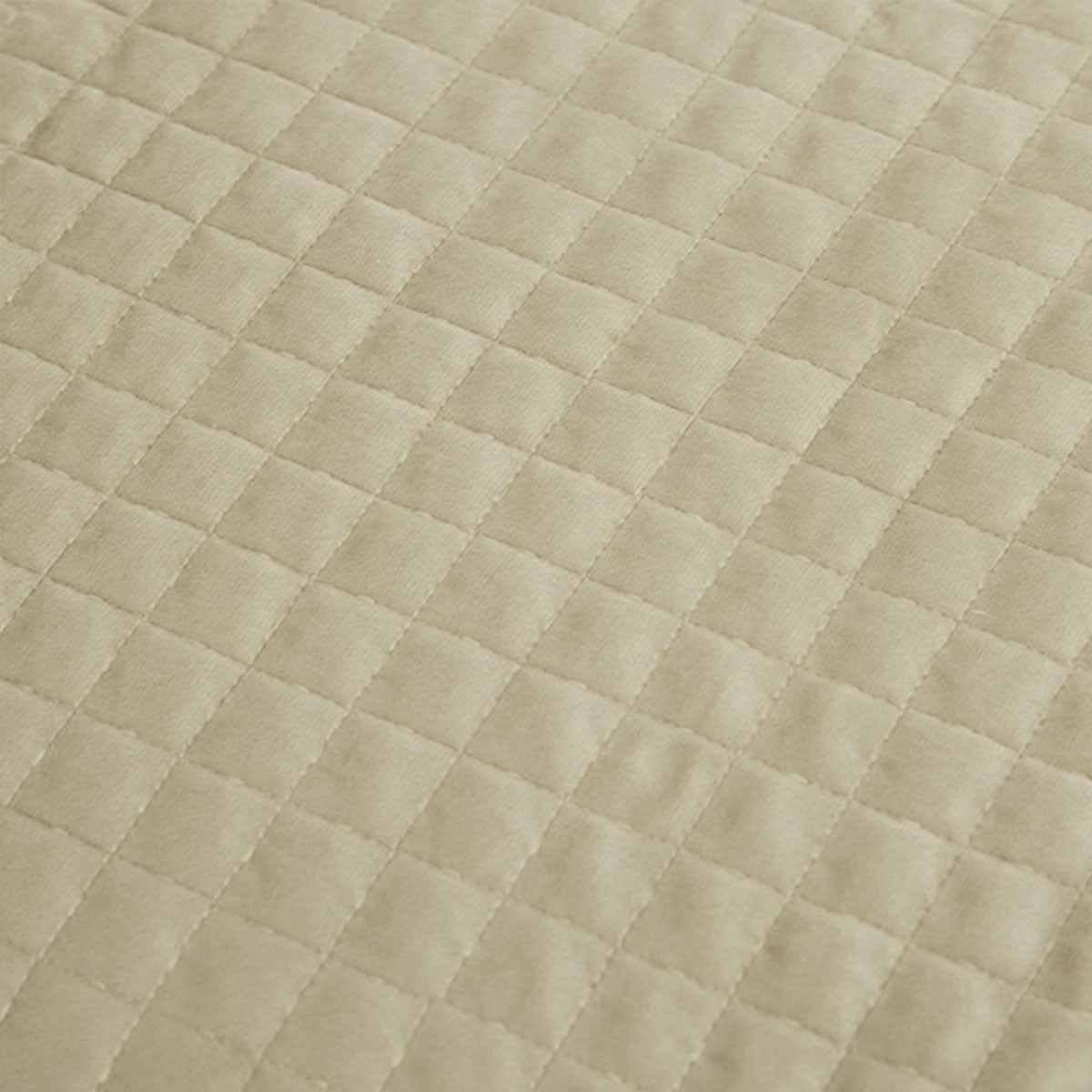 Adela Sandstone Velvet Quilted Coverlet Set Queen/King